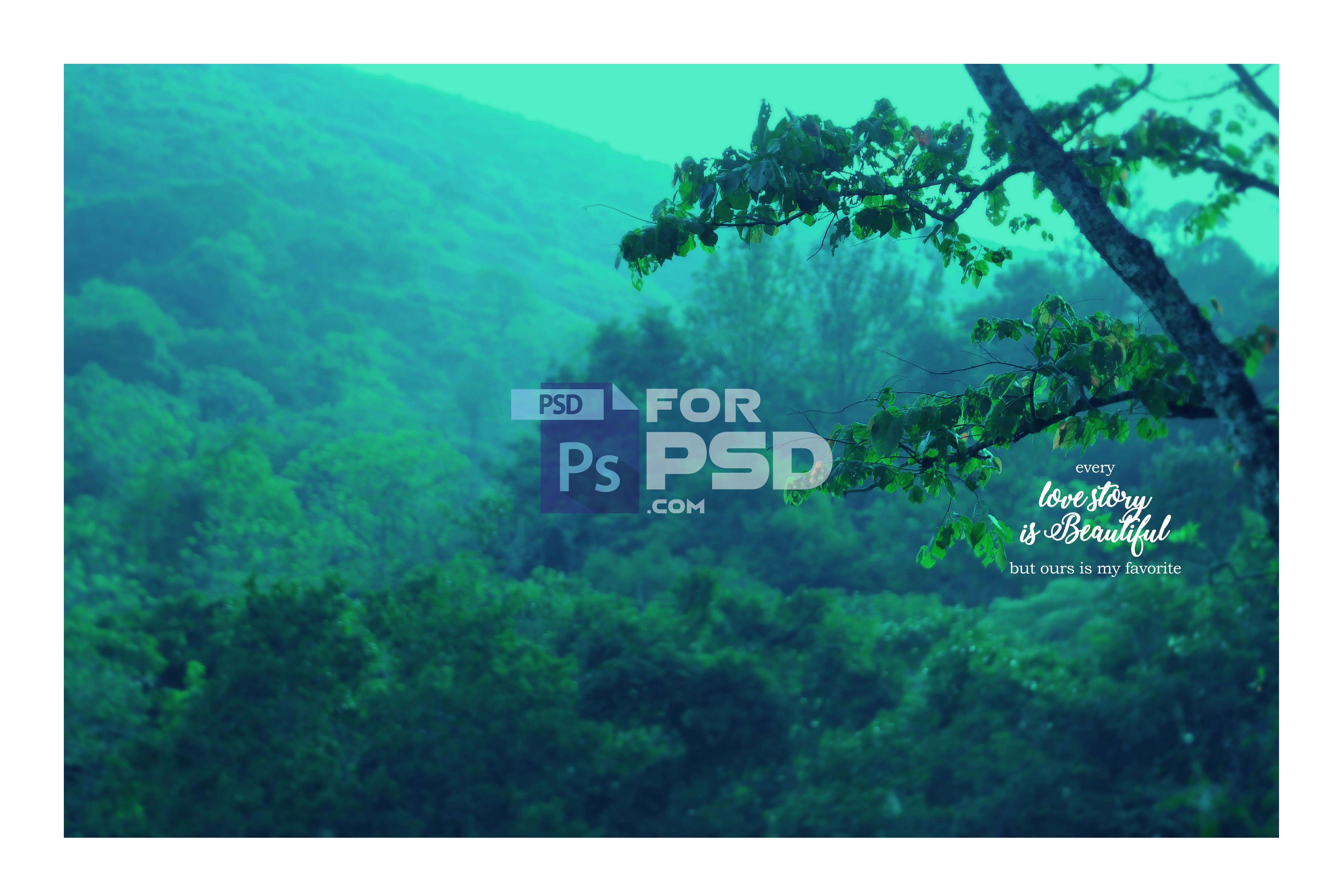 Image Preview
